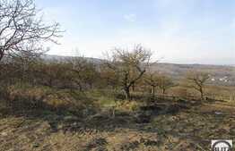 Teren de vanzare cu PUZ, 1000 mp, front de 32,5 ml, zona Borhanci