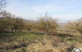 Teren de vanzare cu PUZ, 1000 mp, front de 32,5 ml, zona Borhanci