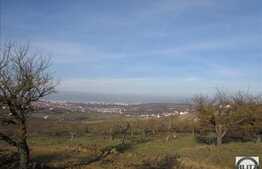 Teren de vanzare cu PUZ, 1000 mp, front de 32,5 ml, zona Borhanci