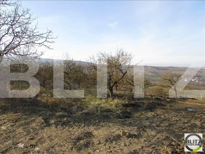 Teren de vânzare Borhanci - 22991TV | BLITZ Cluj-Napoca | Poza5