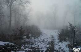 Teren suprafata 2705 mp, front 38 ml, utilitati la front, zona linistita