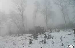 Teren suprafata 2705 mp, front 38 ml, utilitati la front, zona linistita