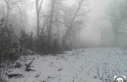 Teren suprafata 2705 mp, front 38 ml, utilitati la front, zona linistita