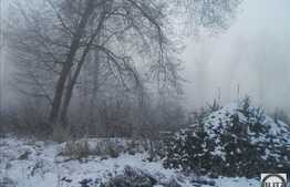 Teren suprafata 2705 mp, front 38 ml, utilitati la front, zona linistita