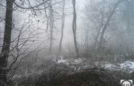 Teren suprafata 2705 mp, front 38 ml, utilitati la front, zona linistita