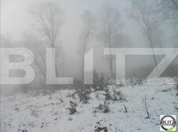 Teren de vânzare Făget - 22994TV | BLITZ Cluj-Napoca | Poza5