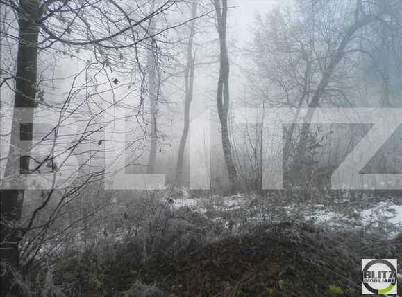 Teren de vânzare Făget - 22994TV | BLITZ Cluj-Napoca | Poza2