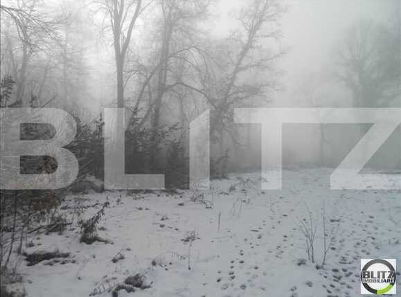 Teren de vânzare Făget - 22994TV | BLITZ Cluj-Napoca | Poza4