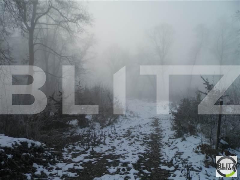 Teren de vânzare Făget - 22994TV | BLITZ Cluj-Napoca | Poza3