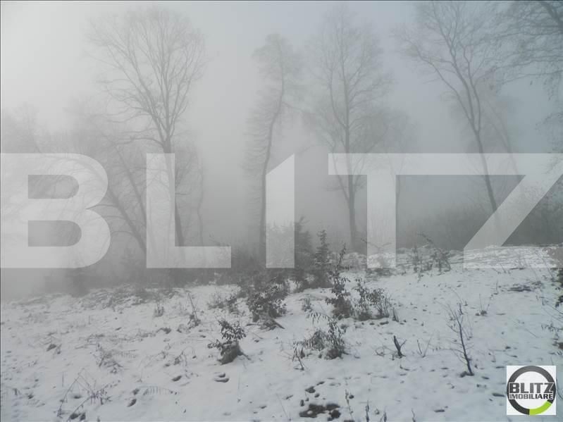 Teren de vânzare Făget - 22994TV | BLITZ Cluj-Napoca | Poza5
