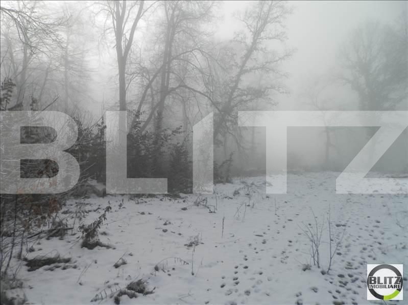 Teren de vânzare Făget - 22994TV | BLITZ Cluj-Napoca | Poza6