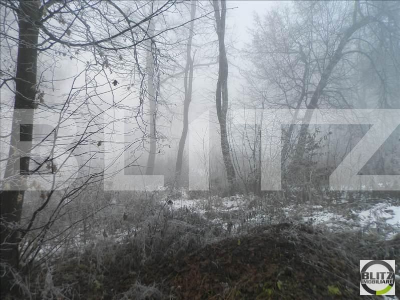 Teren de vânzare Făget - 22994TV | BLITZ Cluj-Napoca | Poza2