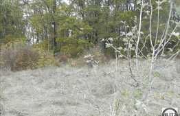 Teren de vanzare 1400 mp, PUZ, CF, zona linistita! Ideal pentru o casa!