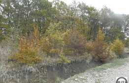 Teren de vanzare 1400 mp, PUZ, CF, zona linistita! Ideal pentru o casa!