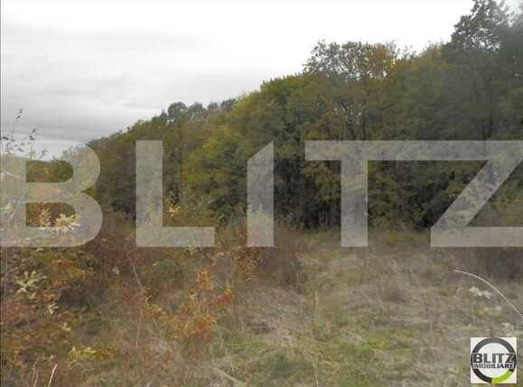 Teren de vânzare Făget - 22995TV | BLITZ Cluj-Napoca | Poza1