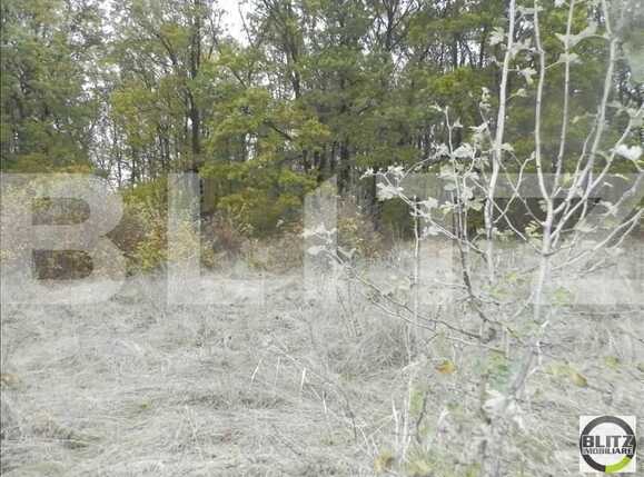 Teren de vânzare Făget - 22995TV | BLITZ Cluj-Napoca | Poza3