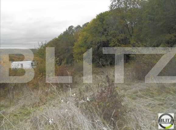 Teren de vânzare Făget - 22995TV | BLITZ Cluj-Napoca | Poza2