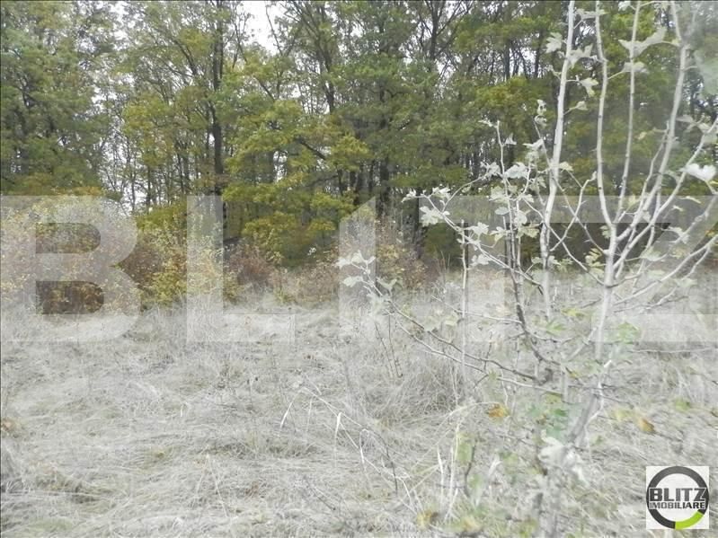 Teren de vânzare Făget - 22995TV | BLITZ Cluj-Napoca | Poza3