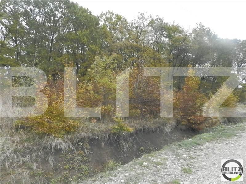 Teren de vânzare Făget - 22995TV | BLITZ Cluj-Napoca | Poza4