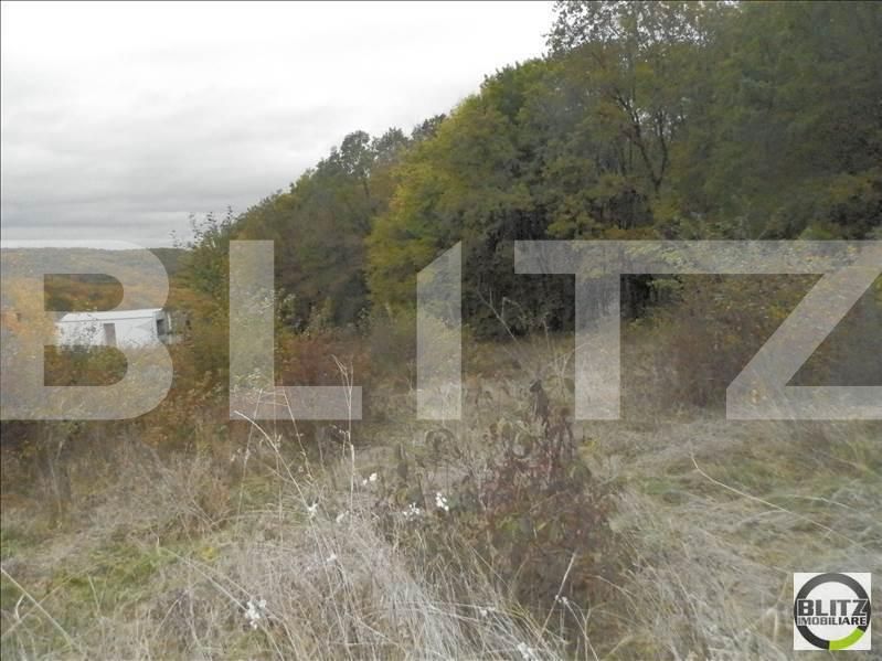 Teren de vânzare Făget - 22995TV | BLITZ Cluj-Napoca | Poza2