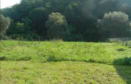 Teren de vanzare, 1300mp, cu front de 14 ml, zona Tauti!