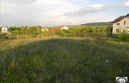 Vanzare teren 13000 mp, 45 ml front, zona linistita! Utilitati la front!