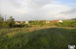 Vanzare teren 13000 mp, 45 ml front, zona linistita! Utilitati la front!