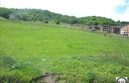 Vanzare teren ideal pentru constructii case sau blocuri, 7000 mp, zona Teilor!