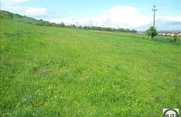 Teren de vanzare, 2634 mp, zona Teilor, ideal pentru c-tie casa individuala!