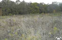 Teren de vanzare 2000 mp, front 43 ml, zona linistita! Ideal pentru o casa!