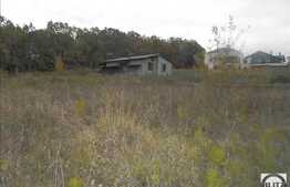 Teren de vanzare 2000 mp, front 43 ml, zona linistita! Ideal pentru o casa!