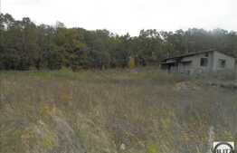 Teren de vanzare 2000 mp, front 43 ml, zona linistita! Ideal pentru o casa!