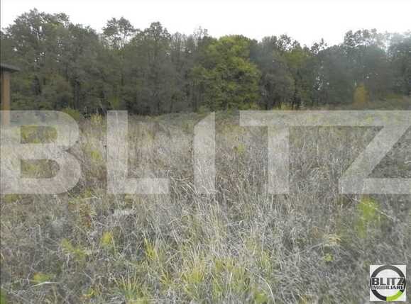 Teren de vânzare Făget - 23009TV | BLITZ Cluj-Napoca | Poza6