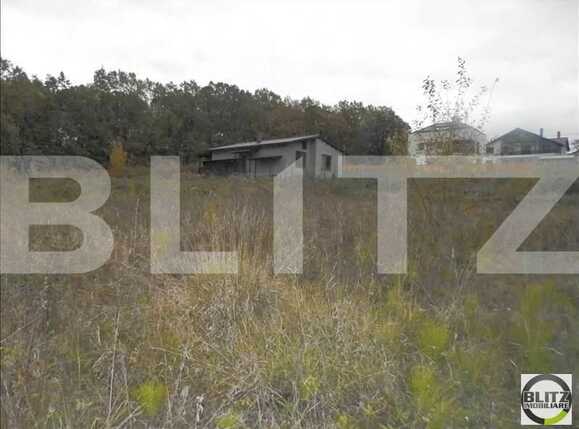 Teren de vânzare Făget - 23009TV | BLITZ Cluj-Napoca | Poza3