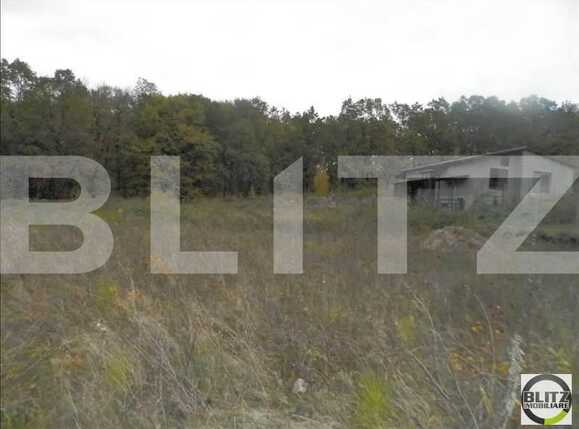 Teren de vânzare Făget - 23009TV | BLITZ Cluj-Napoca | Poza4