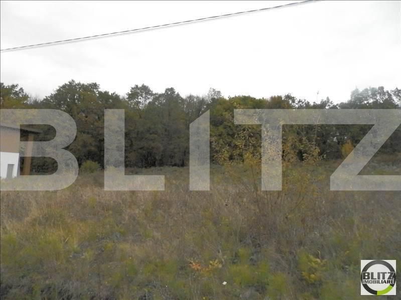 Teren de vânzare Făget - 23009TV | BLITZ Cluj-Napoca | Poza5