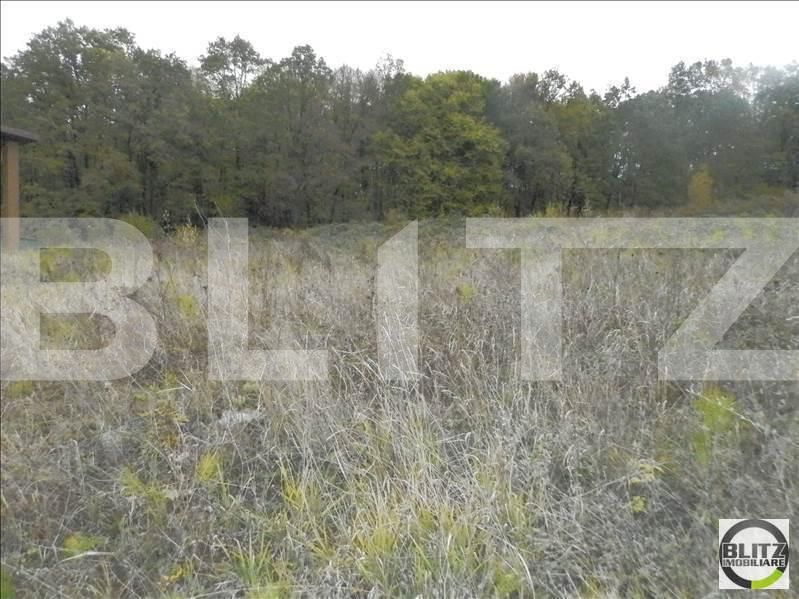 Teren de vânzare Făget - 23009TV | BLITZ Cluj-Napoca | Poza6