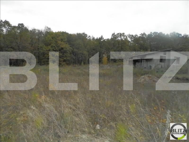 Teren de vânzare Făget - 23009TV | BLITZ Cluj-Napoca | Poza4