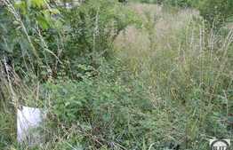 Vanzare teren 1023 mp, Extras de Carte Funciara, zona exclusivista!