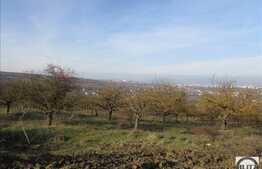 Teren de vanzare, 750 mp, front de 16 ml, zona Borhanci!