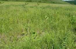 Teren de vanzare in zona strazii Stejarului, 1600 mp, front de 35 ml!