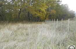 Vanzare teren 1000 mp, 2 fronturi la strada de 56 ml, zona linistita!