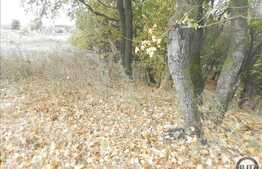 Vanzare teren 1000 mp, 2 fronturi la strada de 56 ml, zona linistita!