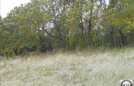 Vanzare teren 1000 mp, 2 fronturi la strada de 56 ml, zona linistita!