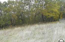 Vanzare teren 1000 mp, 2 fronturi la strada de 56 ml, zona linistita!