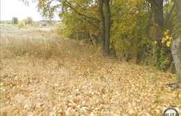 Vanzare teren 1000 mp, 2 fronturi la strada de 56 ml, zona linistita!