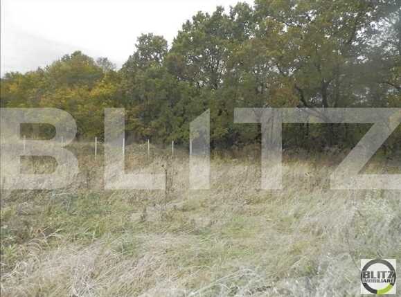 Teren de vânzare Făget - 23023TV | BLITZ Cluj-Napoca | Poza1