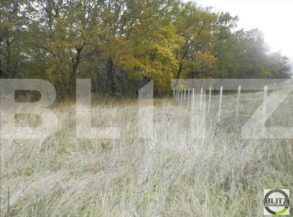 Teren de vânzare Făget - 23023TV | BLITZ Cluj-Napoca | Poza6