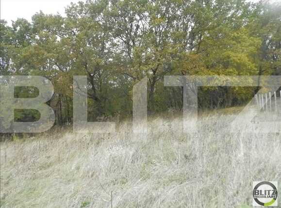 Teren de vânzare Făget - 23023TV | BLITZ Cluj-Napoca | Poza5