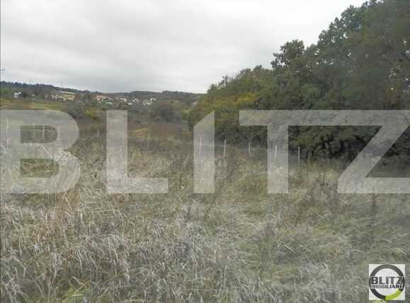 Teren de vânzare Făget - 23023TV | BLITZ Cluj-Napoca | Poza3